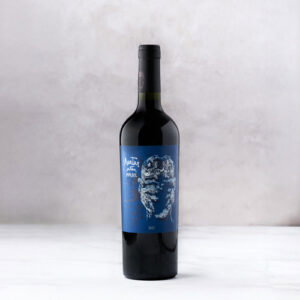 Wijn malbec Bodegas Casir Dos Santos avatar ultra