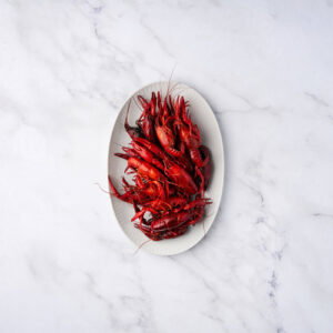 Rivierkreeft uit Nederland